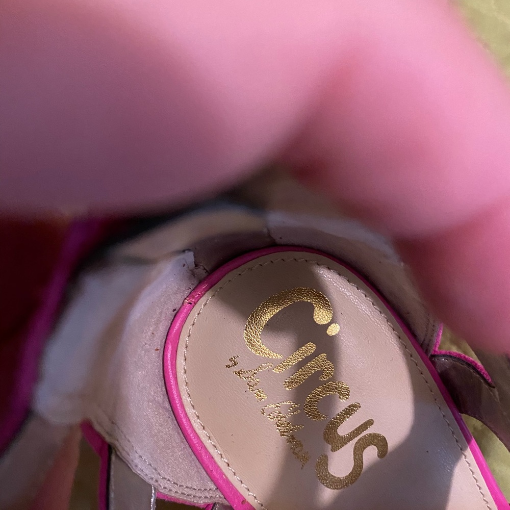 Circus Sam Eldeman - image 2